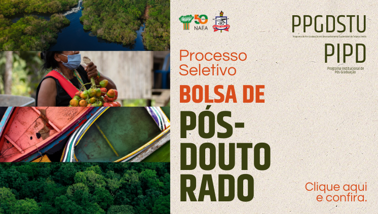 PPGDSTU - Processo Seletivo - Bolsa de Pós-Doutorado